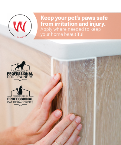Protect Car Interior From Pet Damage