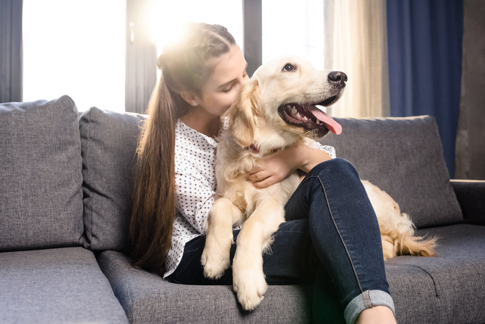 Pet parent anxiety