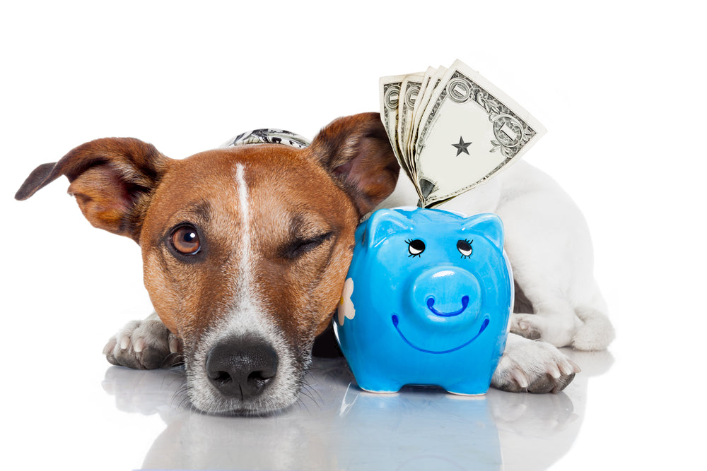 Save Your Pet Security Deposit