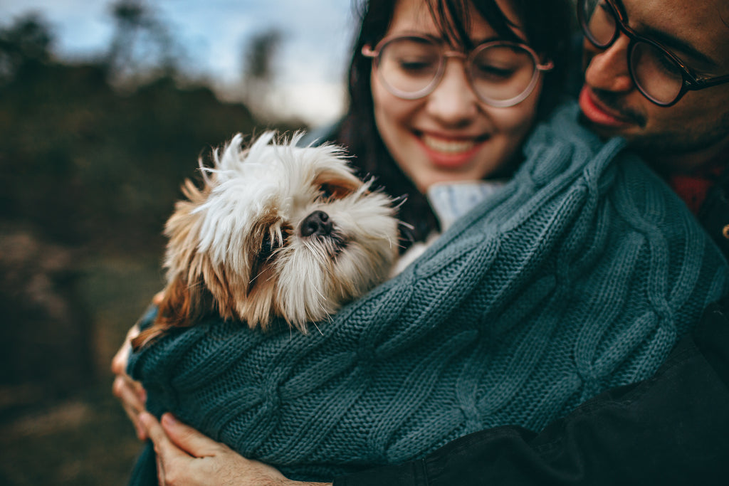 7 Tips To Help Make Your Home Pet-Friendly