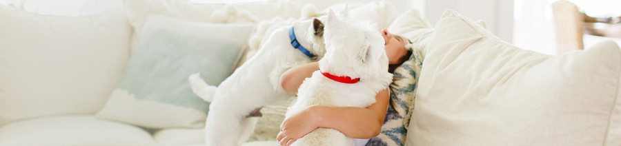 Home scratch protection products for pets.