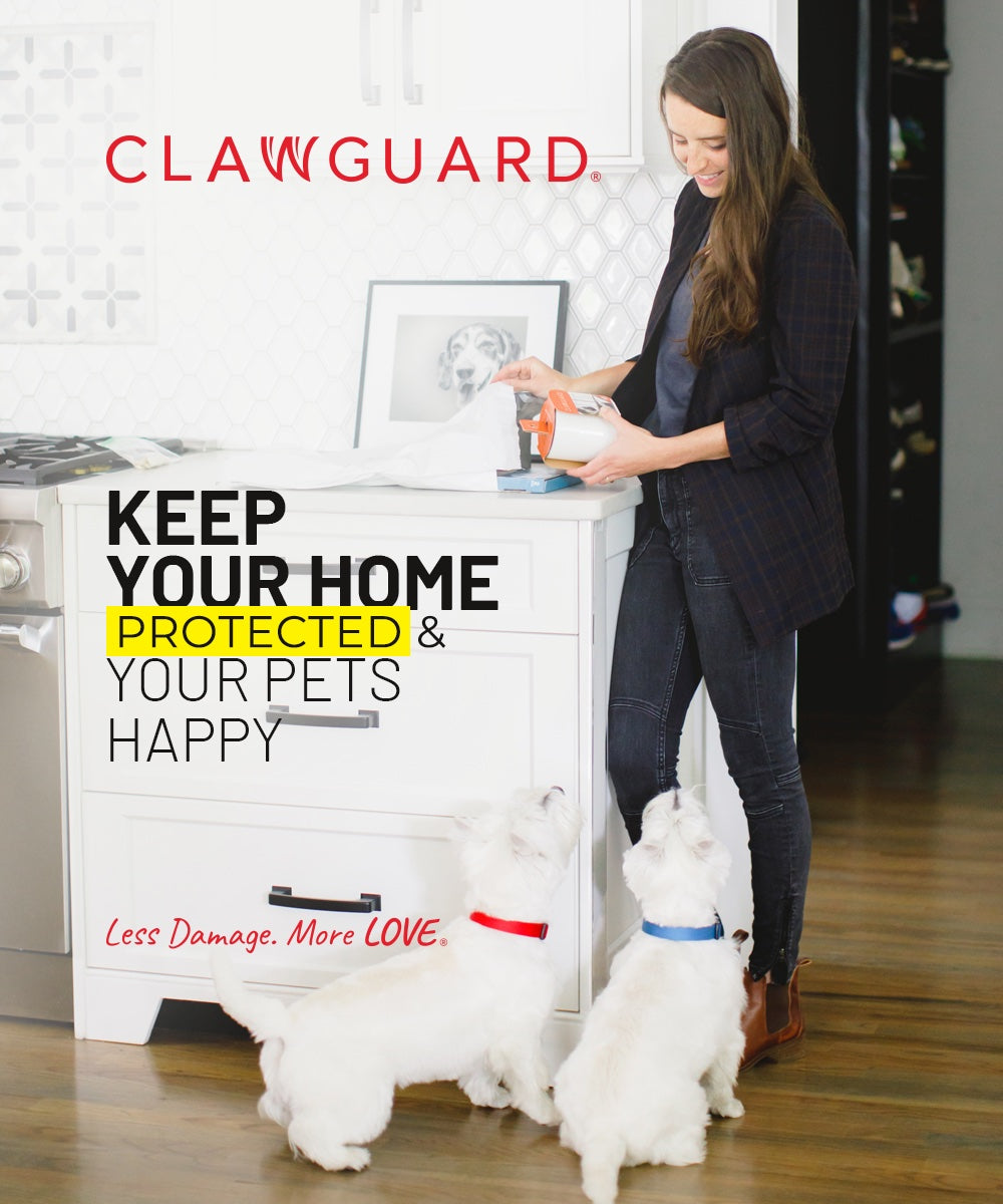 CLAWGUARD Strapazierfähiger Kratzschutz für große Hunde – ultimativer Tür-,  Rahmen und Wandschutz : : Elektronik & Foto